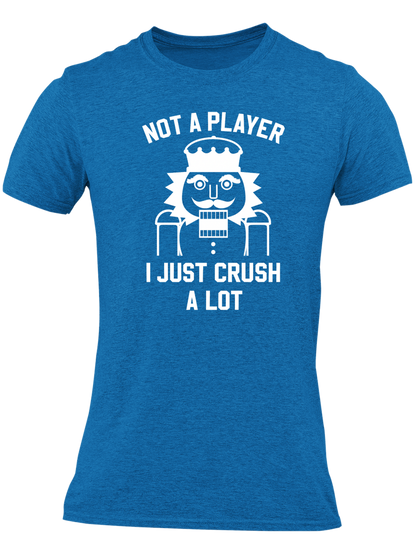 Not A Player - I Just Crush A Lot